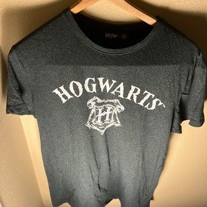 Harry Potter Men’s Hogwarts Shield Tee Color Green Size Medium